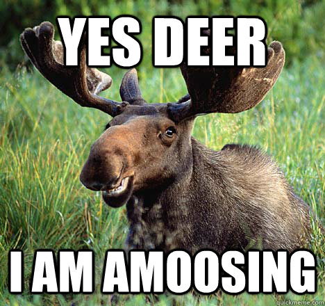 yes deer I am amoosing  