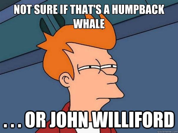 Not sure if that's a Humpback whale . . . or John Williford  Futurama Fry