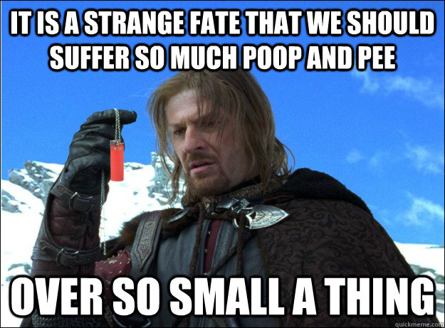 IT IS A STRANGE FATE THAT WE SHOULD SUFFER SO MUCH POOP AND PEE OVER SO SMALL A THING  Boromir