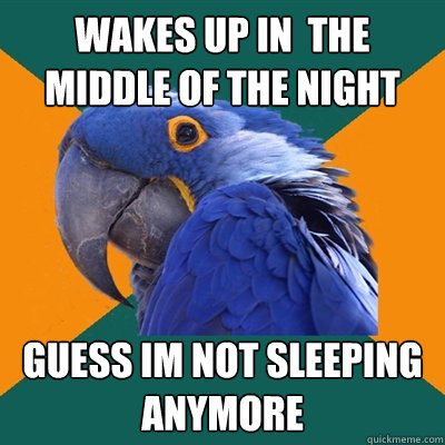 wakes up in  the middle of the night guess im not sleeping anymore  Paranoid Parrot
