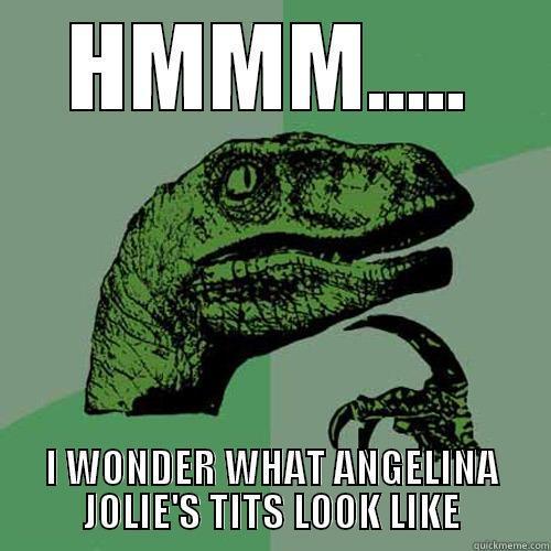 HMMM..... I WONDER WHAT ANGELINA JOLIE'S TITS LOOK LIKE Philosoraptor