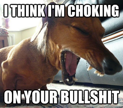 I think I'm choking On your bullshit - I think I'm choking On your bullshit  Coughing dog