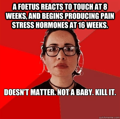 A foetus reacts to touch at 8 weeks, and begins producing pain stress hormones at 16 weeks.  Doesn’t matter. Not a baby. Kill it.   Liberal Douche Garofalo