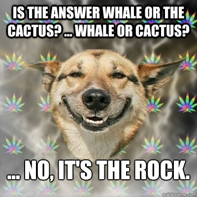 Is the answer whale or the cactus? ... Whale or cactus? ... No, it's the rock.  Stoner Dog