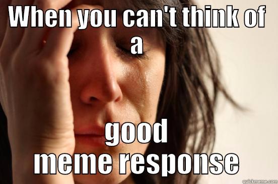 WHEN YOU CAN'T THINK OF A GOOD MEME RESPONSE First World Problems