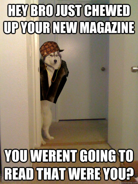 hey bro just chewed up your new magazine you werent going to read that were you?  