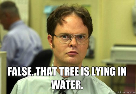  False. That tree is lying in water.   Dwight