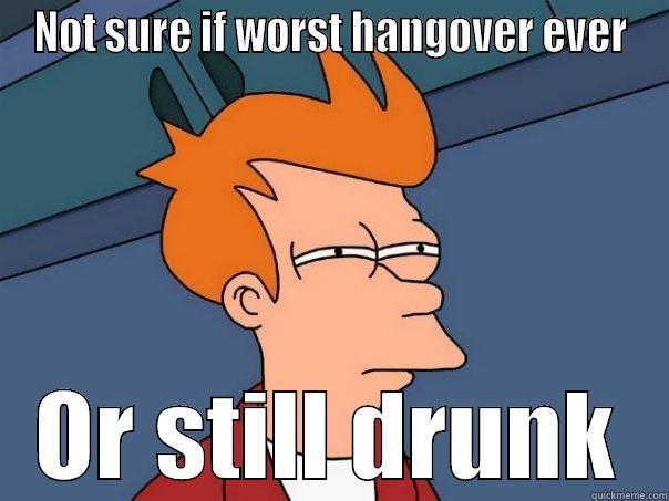 NOT SURE IF WORST HANGOVER EVER OR STILL DRUNK Futurama Fry