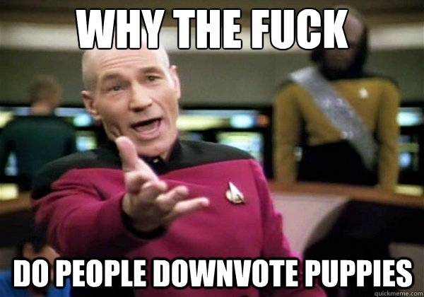 Why the fuck Do people downvote puppies  Why The Fuck Picard