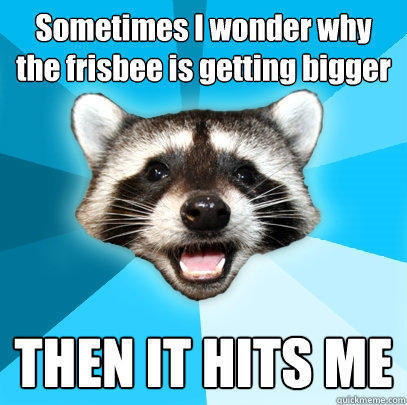 Sometimes I wonder why the frisbee is getting bigger THEN IT HITS ME - Sometimes I wonder why the frisbee is getting bigger THEN IT HITS ME  Lame Pun Coon