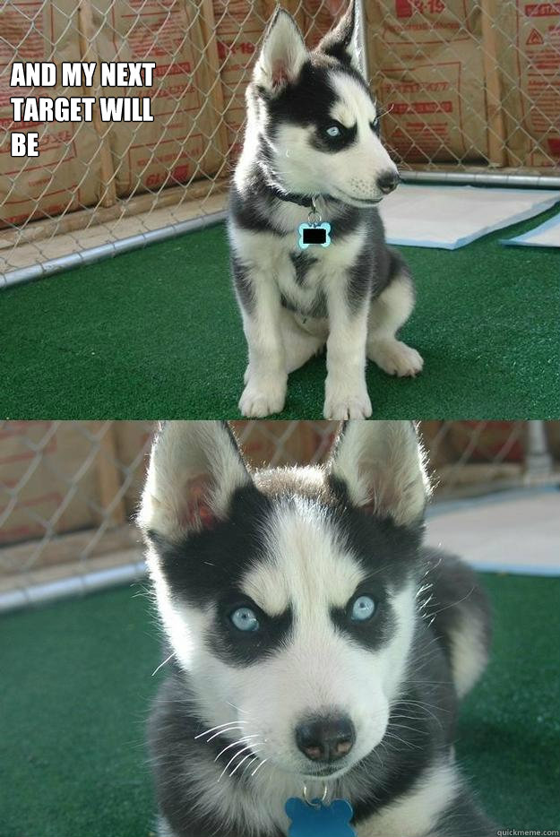 And my next 
target will 
be   Insanity puppy