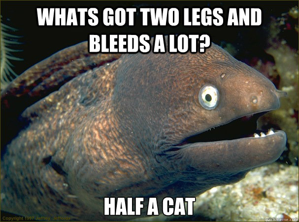 Whats got two legs and bleeds a lot? Half a Cat  Bad Joke Eel