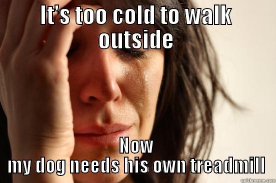 IT'S TOO COLD TO WALK OUTSIDE NOW MY DOG NEEDS HIS OWN TREADMILL First World Problems