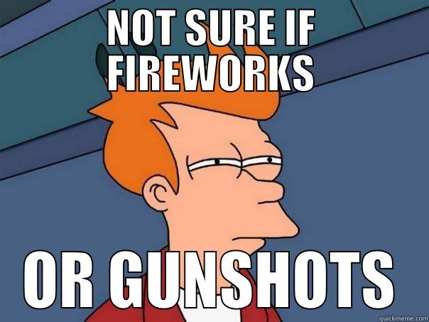 NOT SURE IF FIREWORKS OR GUNSHOTS Futurama Fry