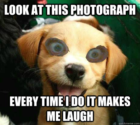 look at this photograph every time I do it makes me laugh  Pervy Meme