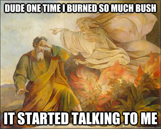 Dude one time I burned so much bush It started talking to me  moses burning bush