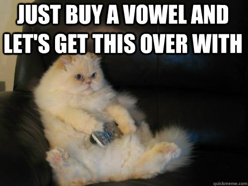 just buy a vowel and let's get this over with  Disapproving TV Cat