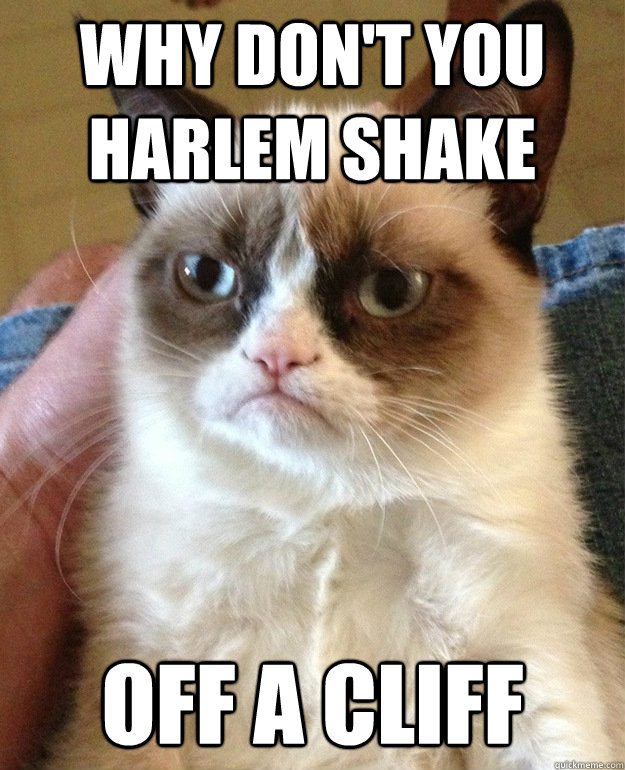 Why don't you harlem shake off a cliff  grumpycat
