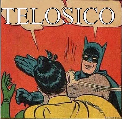 TELOSICO   Batman Slapping Robin