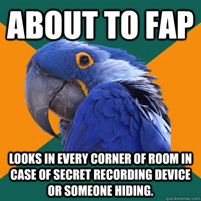 about to fap looks in every corner of room in case of secret recording device or someone hiding.   Paranoid Parrot