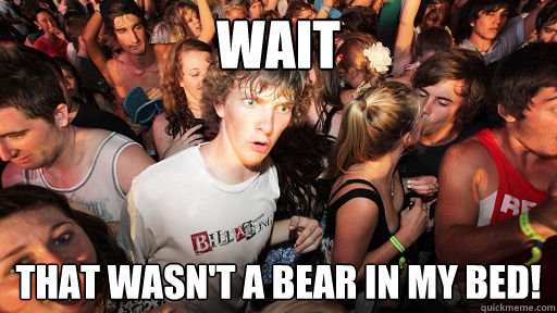 Wait that wasn't a bear in my bed!  Sudden Clarity Clarence