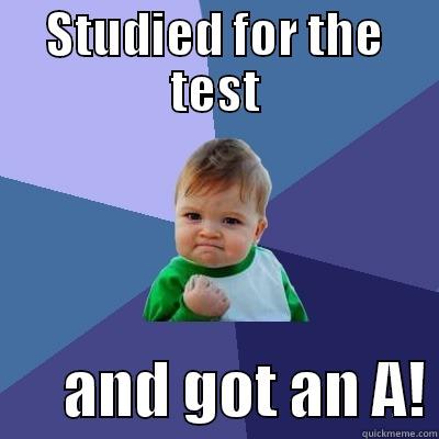 STUDIED FOR THE TEST       AND GOT AN A! Success Kid