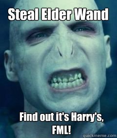 Steal Elder Wand Find out it's Harry's, FML!  Voldemort Meme