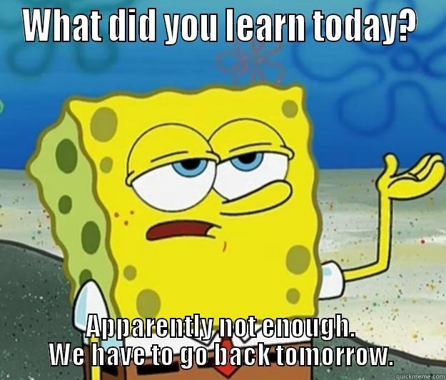 WHAT DID YOU LEARN TODAY? APPARENTLY NOT ENOUGH. WE HAVE TO GO BACK TOMORROW. Tough Spongebob
