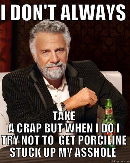I DON'T ALWAYS  TAKE A CRAP BUT WHEN I DO I TRY NOT TO  GET PORCILINE STUCK UP MY ASSHOLE  The Most Interesting Man In The World