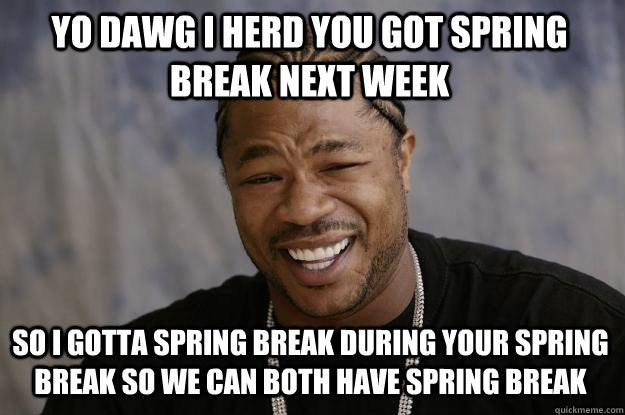 YO DAWG I HErd you got spring break next week so I gotta spring break during your spring break so we can both have spring break  Xzibit meme