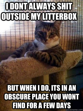I dont always shit outside my litterbox but when I do, its in an obscure place you wont find for a few days  The Most Interesting Cat in the World