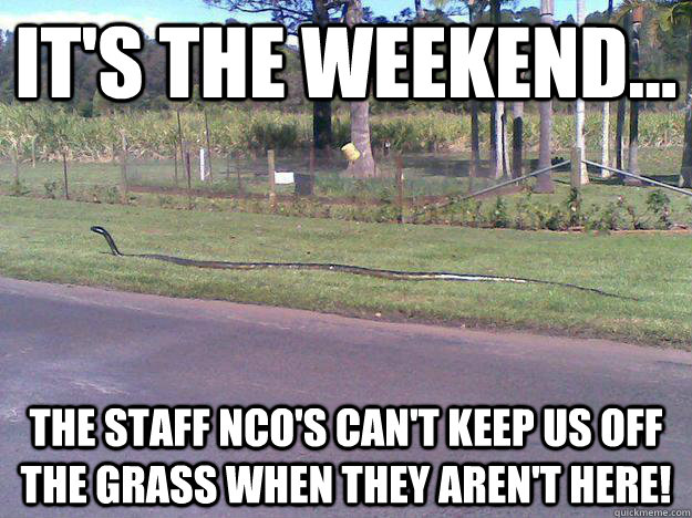It's the weekend... The Staff NCO's can't keep us off the grass when they aren't here!  Keep off the Grass