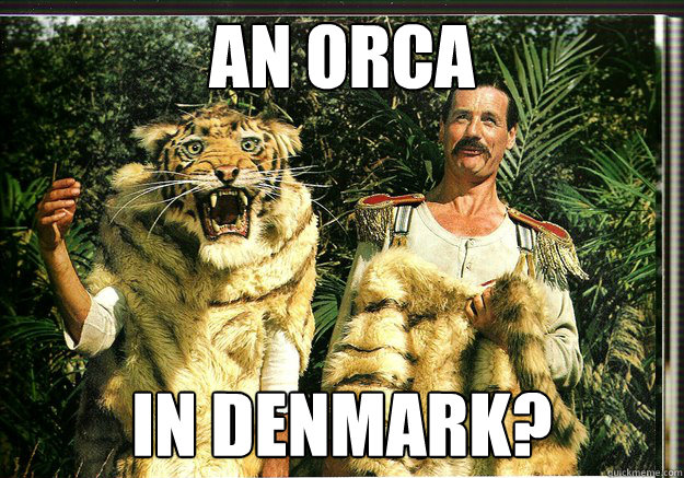 An Orca In Denmark? - An Orca In Denmark?  Orca Python