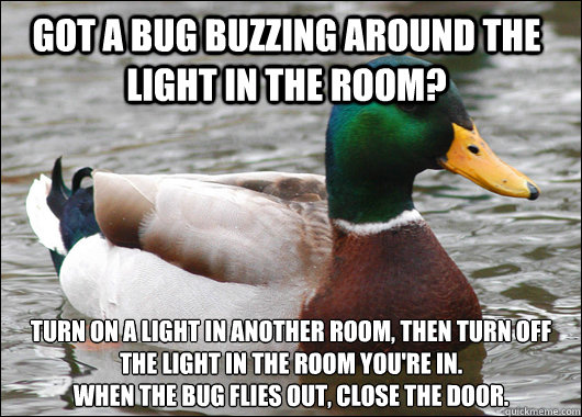 Got a bug buzzing around the light in the room? turn on a light in another room, then turn off the light in the room you're in. 
when the bug flies out, close the door.  Actual Advice Mallard