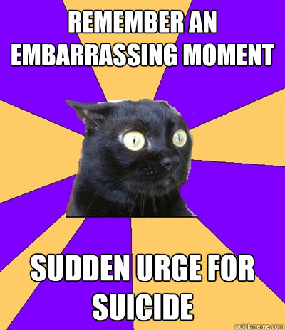 REMEMBER AN EMBARRASSING MOMENT SUDDEN URGE FOR SUICIDE - REMEMBER AN EMBARRASSING MOMENT SUDDEN URGE FOR SUICIDE  Anxiety Cat