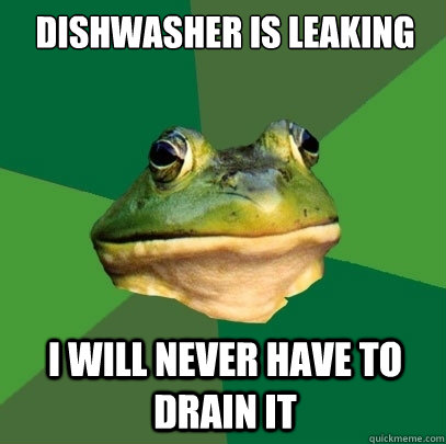 Dishwasher is leaking I Will never have to drain it   Foul Bachelor Frog