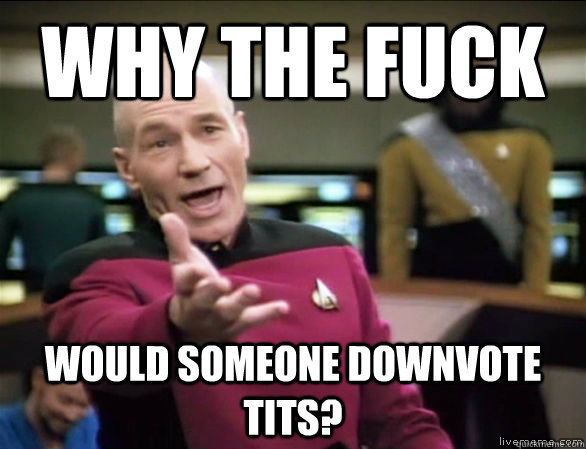 why the fuck Would someone downvote tits?  Annoyed Picard HD