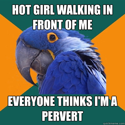 Hot girl walking in front of me everyone thinks i'm a pervert  Paranoid Parrot