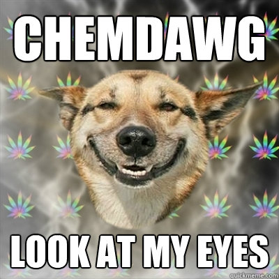 chemdawg look at my eyes  Stoner Dog