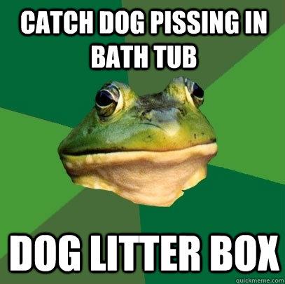 Catch dog pissing in bath tub Dog litter box  Foul Bachelor Frog