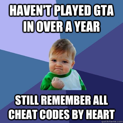 Haven't played GTA in over a year Still remember all cheat codes by heart  Success Kid