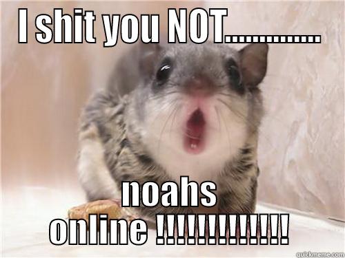 I SHIT YOU NOT.............. NOAHS ONLINE !!!!!!!!!!!!! Misc