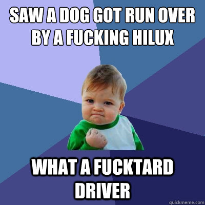 Saw a dog got run over by a fucking hilux what a fucktard driver  Success Kid