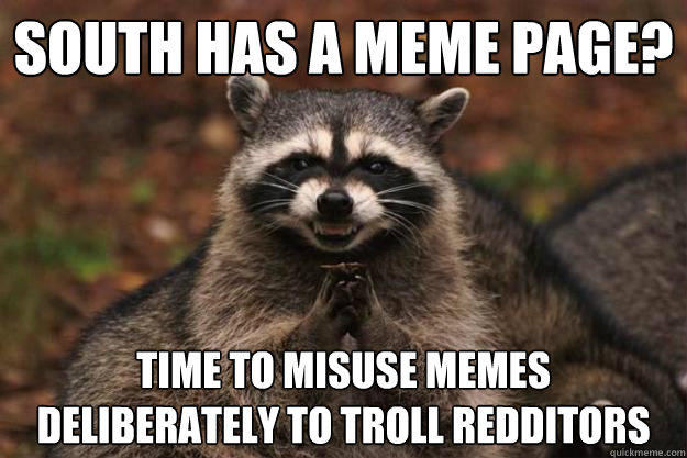 south has a meme page? time to misuse memes deliberately to troll redditors  Evil Plotting Raccoon