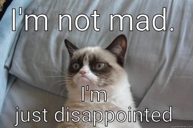 I'M NOT MAD. I'M JUST DISAPPOINTED Grumpy Cat
