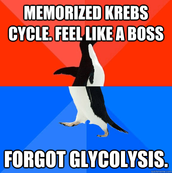 Memorized Krebs Cycle. feel like a boss  Forgot Glycolysis.  - Memorized Krebs Cycle. feel like a boss  Forgot Glycolysis.   Socially Awesome Awkward Penguin