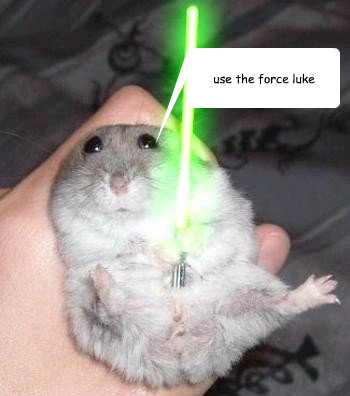 use the force luke - use the force luke  Star wars hamster