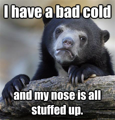 I have a bad cold and my nose is all stuffed up. - I have a bad cold and my nose is all stuffed up.  Confession Bear