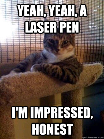 Yeah, yeah, a laser pen I'm impressed, honest  The Most Interesting Cat in the World