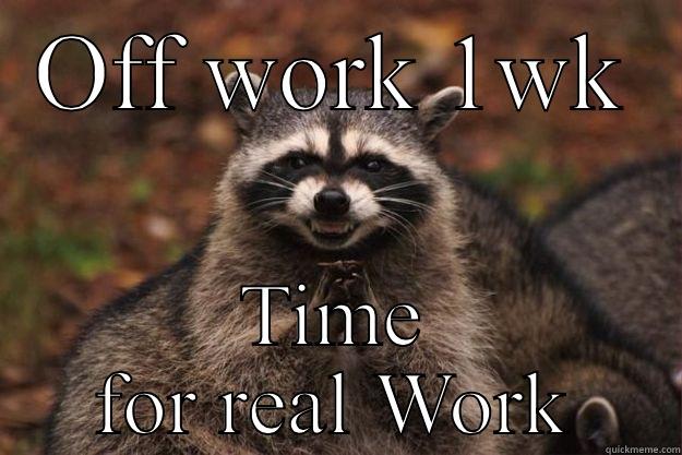Week off - OFF WORK 1WK TIME FOR REAL WORK Evil Plotting Raccoon